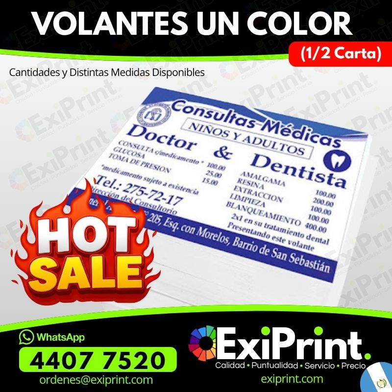 Oferta en 100 Volantes Media Carta Un Color